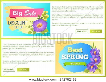 Big Spring Sale Advertisement Label Crocus Purple Flowers With Yellow Center And Viola Buds Vector I