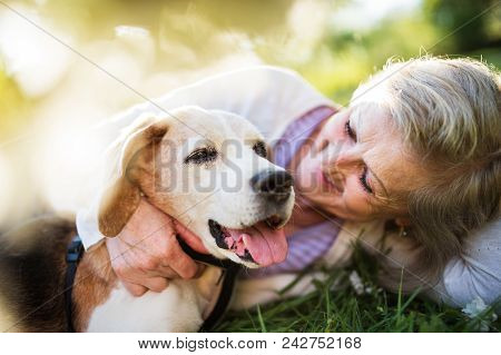 Unrecognizable Senior Woman With A Dog Lying Down On A Grass Outside In Spring Nature, Resting.
