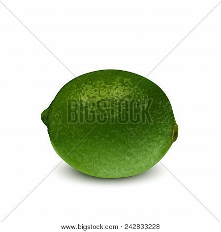 Realistic Green Lime, Lemon. 3d Vector Illustration Eps 10.