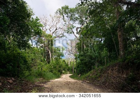 Dirt Road Through The Green Jungle Mountains With Trees Of Peten, El Remate, Guatemala