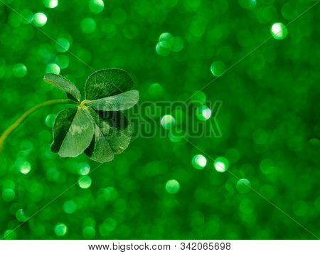 Fresh Green Lucky Four Leaf Clover