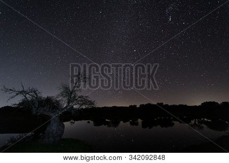 Night Landscape In A Lagoon Near Arroyo De La Luz. Extremadura. Spain.