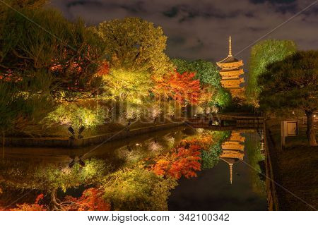 Toji Pagoda Temple With Red Maple Leaves Or Fall Foliage In Autumn Season. Colorful Trees, Kyoto, Ja