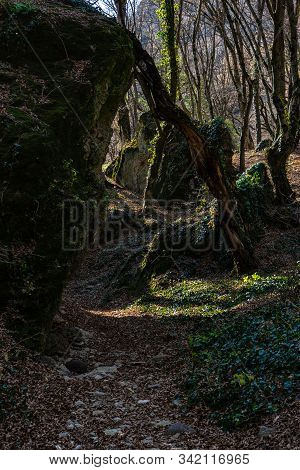 Birtvisi Canyon In Georgia