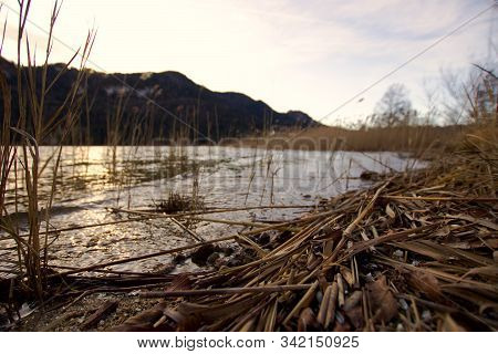 Small Lake In Evening With Reed On Beach