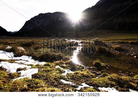 Small Creek In A Valley Of The Alps