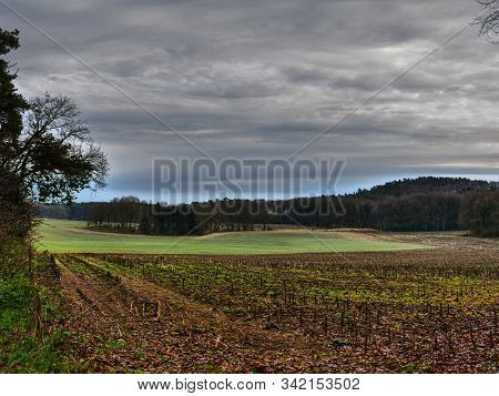 hiking near reken in the german muensterland