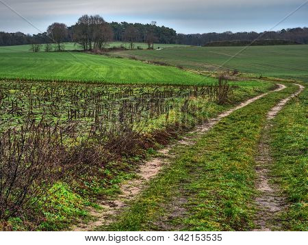 hiking near reken in the german muensterland