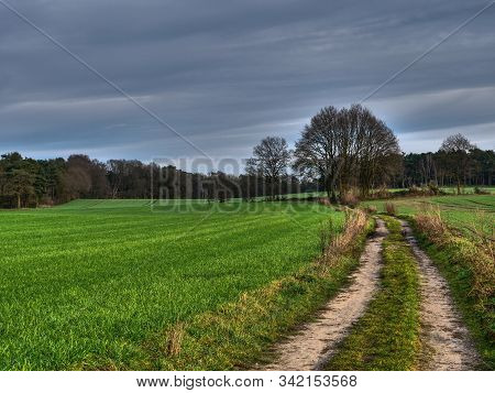 hiking near reken in the german muensterland