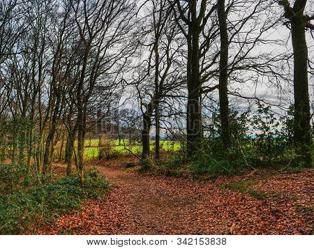 hiking near reken in the german muensterland