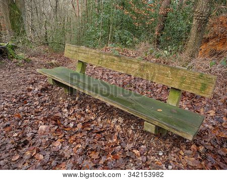 hiking near reken in the german muensterland