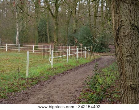 hiking in the forest near reken in germany