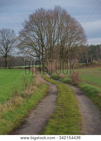 hiking in the forest near reken in germany