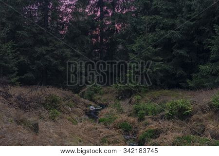 Upper Watercourse Of Creek Near Bilina River In Krusne Hory Mountains In Evening