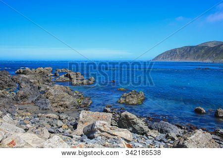 Beautiful Coastline At Owhiro Bay In Wellington, North Island, New Zealand