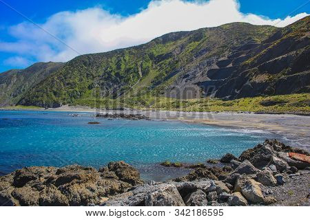 Beautiful Coastline At Owhiro Bay In Wellington, North Island, New Zealand