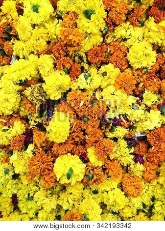 Background Of Jamanthi Poovu Or Chrysanthemum Flower