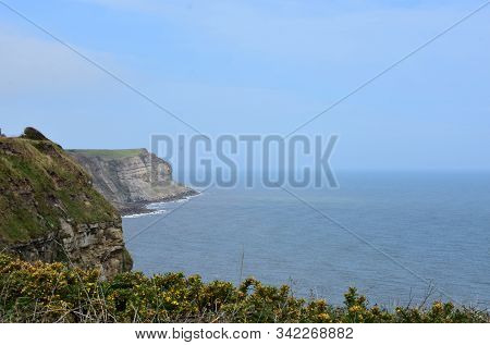 Gorgeous View Looking Down At Off The Sea Cliffs On Robin Hood's Bay