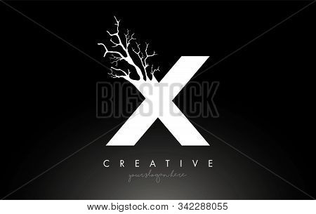 Letter X Design Logo With Creative Tree Branch. X Letter Tree Icon Logo  Vector Illustration.