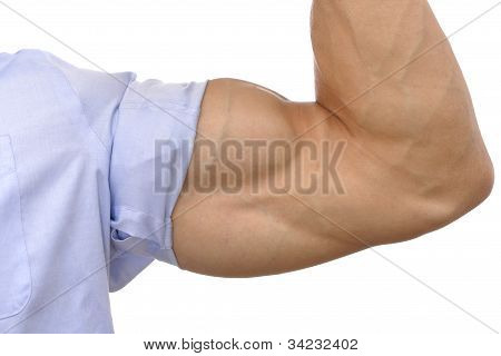 Big Biceps