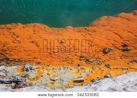 Colorful Champagne Pool At Wai-o-tapu Thermal Wonderland Near Rotorua, North Island, New Zealand
