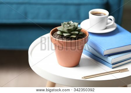 Beautiful Succulent And Books On White Table Indoors. Home Plant