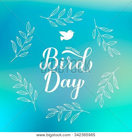 National Bird Day Calligraphy Hand Lettering On Blue Background. Greeting Card For Bird Lovers. Easy