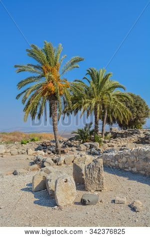 Archaeological Remains In Tel Megiddo National Park, World Heritage Site. At Jezebel Valley, Norther