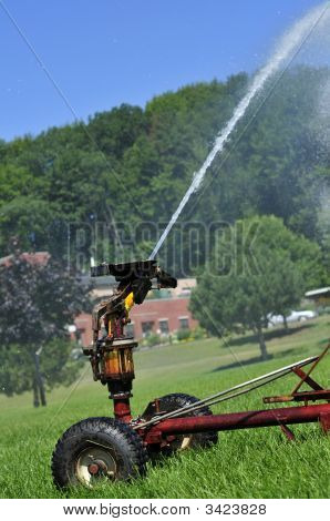 Græsplæne Sprinkler