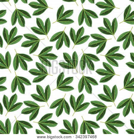 Vector Seamless Pattern With Drawing Green Leaves Of Sassafras Tree, Botanical Illustration, Hand Dr