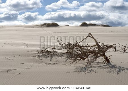 Niederlassungen in den SanddÃ¼nen