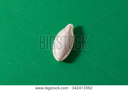 Pumpkin Seeds Isolated On The Green Background.