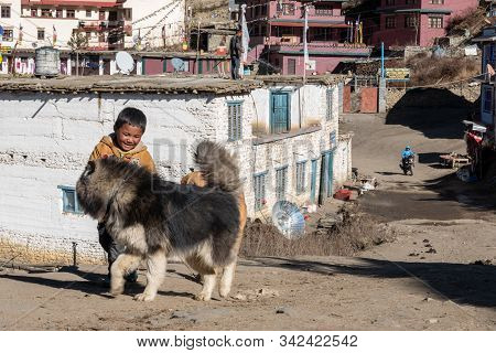 Boy And His Dogs In Nepal