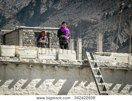 Women Drying Apples In The Sun On A Rooftop