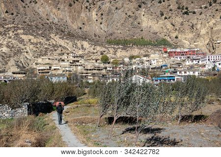 Man Carrying Gas Cylinder