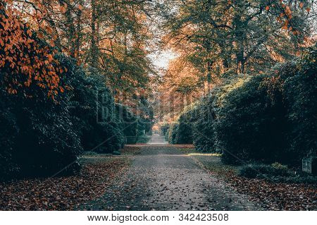 Yellow Leaves Alley Pathway In Ohlsdorf Cemetery During Fall In Hamburg City, Germany