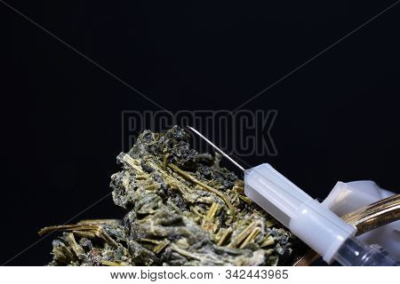 Jiaogulan Herb Is Also Referred To As The Herb Of The Immortals And Sold.