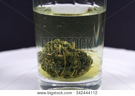 Jiaogulan Herb Is Also Referred To As The Herb Of The Immortals And Sold.