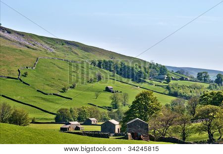 Exuberante paisaje verde de los valles de Yorkshire