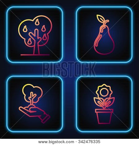Set Line Flower In Pot, Tree In Hand Of Environmental Protection, Tree With Pears And Pear. Gradient