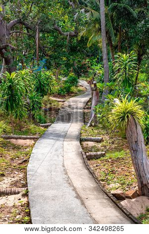 Narrow Concrete Uphill Walkway Through The Mountain And Forests Leading To Viewpoint 1 And 2 In Phi 