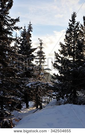 Walk In The Station Of Montgenevre Taken By The Cold, The Snow And The Frost.