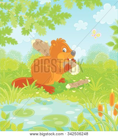 Brown Beaver With A Big Flat Tail And Large Teeth Carrying A Small Gnawed Log By A Small Blue Lake I