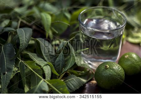 Hair Remedy Of All-purpose Ayurvedic Medicinal Herb I.e. Neem Or Nim Or Indian Lilac In A Glass Bowl
