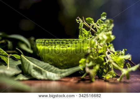 Hair Remedy Of All-purpose Ayurvedic Medicinal Herb I.e. Neem Or Nim Or Indian Lilac In A Glass Bowl