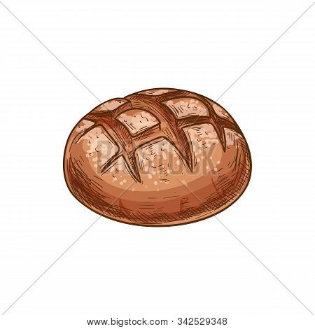 Bread Loaf Vector Icon, Bakery Product Sketch. Round Brown Bread Bun Isolated