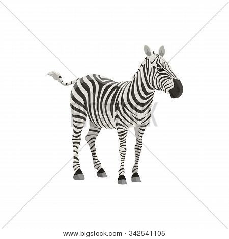 Zebra Wild Animal Vector Isolated Icon. African Safari Zoo And Savanna Hunt Trophy Zebra