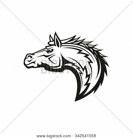 Mustang Isolated Horse Head. Vector Racehorse Animal, Equestrian Sport Mascot, Horsey Tattoo Profile