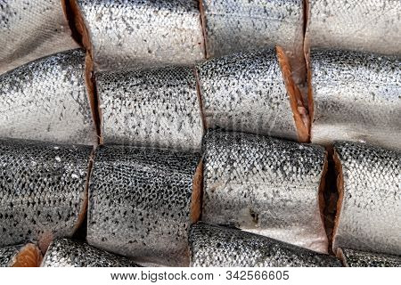 Different Types Of Fresh Fish On Ice In Supermarket, Top View. Close Up Fresh Fish On Ice Bucket Or 