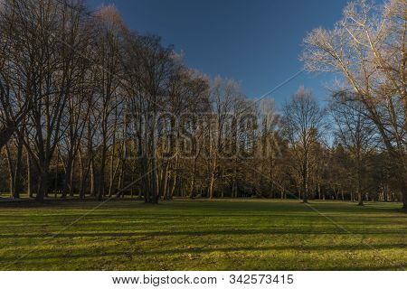 Stromovka Park In Budweis City In South Bohemia In Winter Sunny Color Evening
